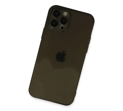 Apple iPhone 12 Pro Kılıf Fly Lens Silikon - Siyah