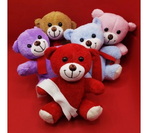 Peluş Ayıcık