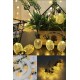 2m 10 Led Pilli 2 Kademeli Ananas Led Işık