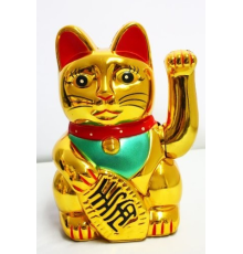 Şanslı Kedi