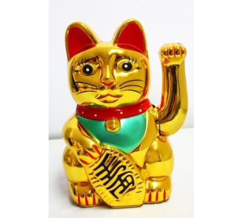 Şanslı Kedi
