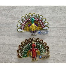 Tavuskuşu Magnet