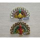 Tavuskuşu Magnet