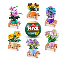 Max Saksı Bitkileri Sürprizi
