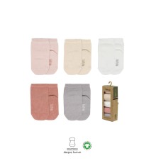 5'li Penye Soket Kutulu Basic Çorap 10131 Pudra