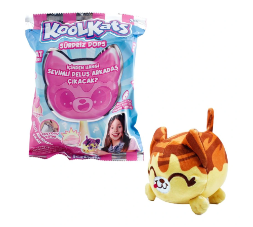 Sürpriz Peluş Kedi