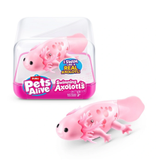 Yüzen Axolotl