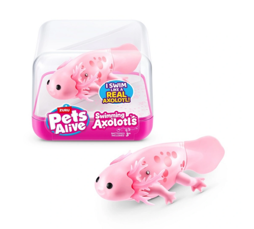 Yüzen Axolotl