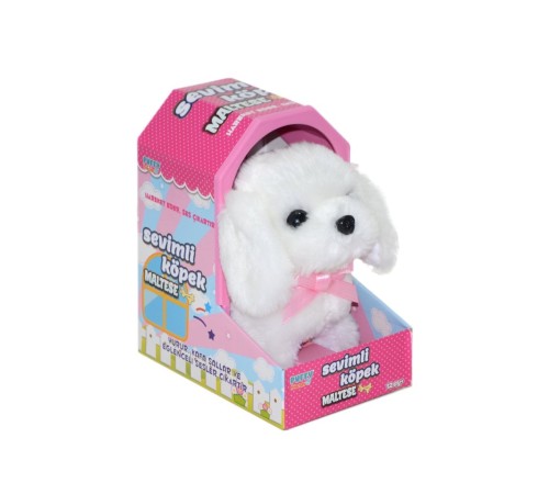 47100 Sevimli Köpek Maltese -