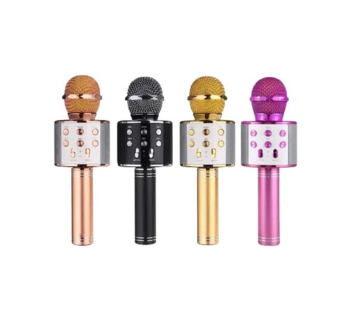 WS-858 Ses Değiştirmeli Karaoke Mikrofon