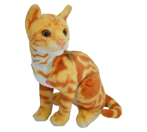 43 CM PELUŞ KEDİ HALLEY