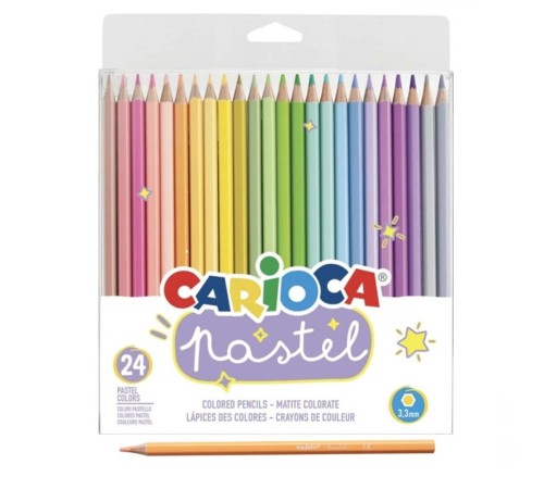 Pastel Renkli Kuru Boya Kalemi 24'lü