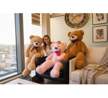62723 PELUŞ 100CM UZUN AYI