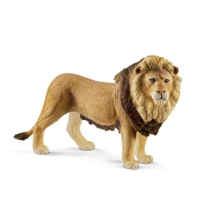 Erkek Aslan
