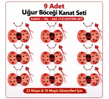 9’lu Uğur Böceği Kostüm Seti – Kanat Taç Asa