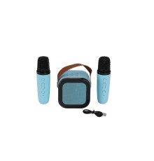 EMR-102 KUTULU 2Lİ KARAOKE MİKROFON