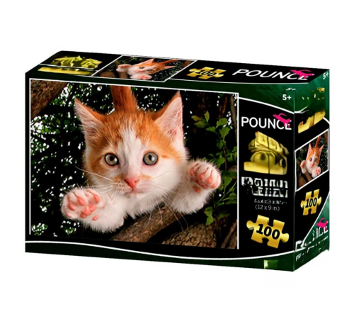 Kedi Pençesi Puzzle 100 Parça