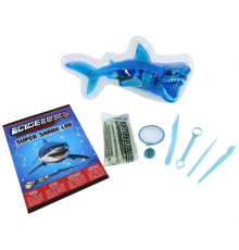Köpekbalığı Labaratuvarı