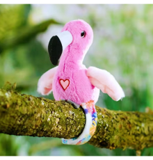 Konuşan ve Taklit Eden Flamingo