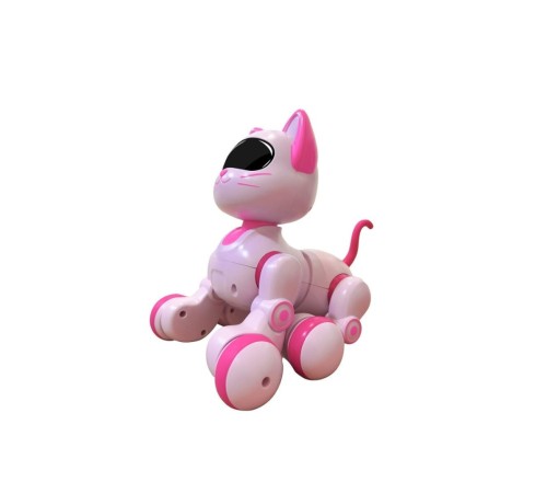 KEDİ 6602 KUMANDALI ROBOT KEDİ