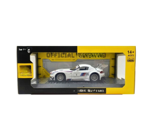 1/24 Z4 GT3 Model Araba
