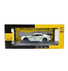 1/24 GT3 Model Araba