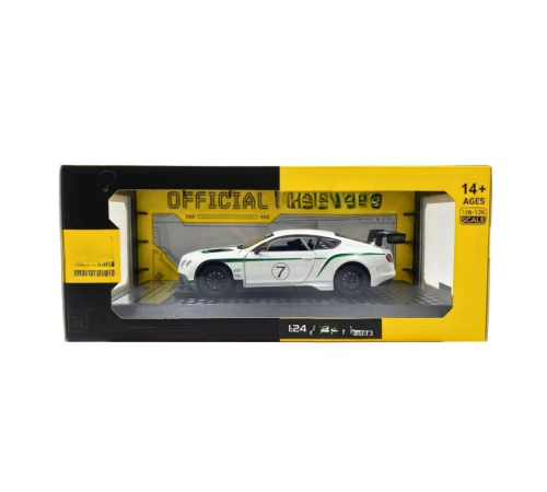 1/24 GT3 Model Araba