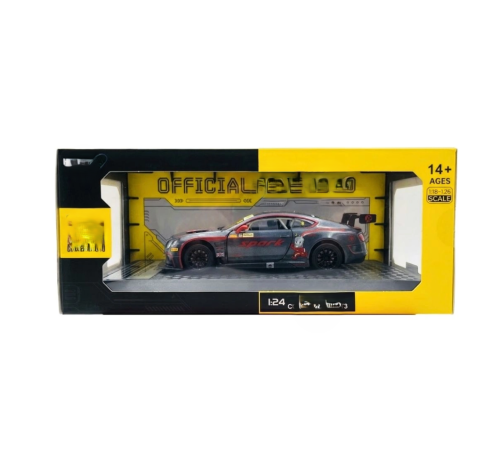1/24 GT3 Silver Grey Model Araba