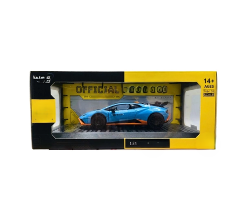 1/24 Model Araba