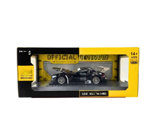 1/24 Z4 GT4 Model Araba