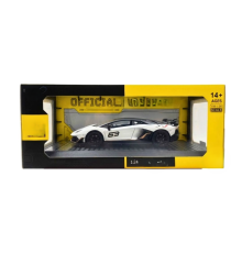 1/24 Model Araba