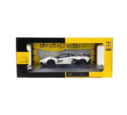 1/24 Model Araba