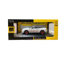 1/24 Model Araba