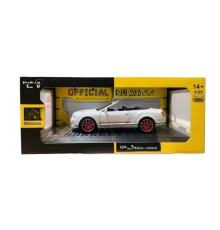 1/24 Model Araba