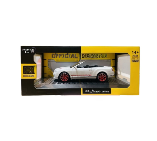 1/24 Model Araba