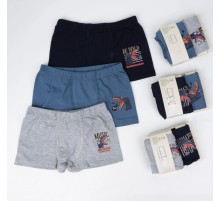2li Erkek Boxer K128638 (tek adet fiyatıdır)