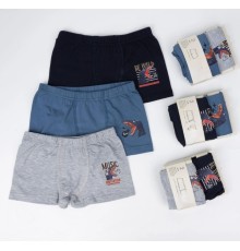 2li Erkek Boxer K128638 (tek adet fiyatıdır)