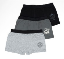 Erkek 2li Boxer Set K128997 (tek adet fiyatıdır)