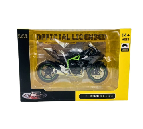 1/18 H2R Model Motosiklet