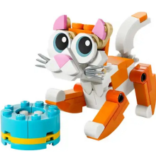 Turuncu Kedi 30714