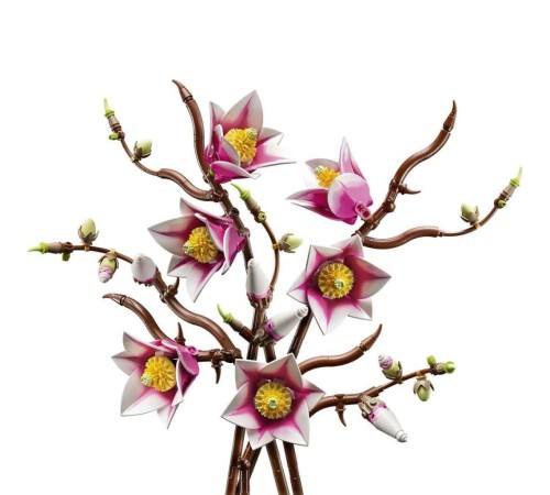 11510 Botanicals Manolya Dalları+18 yaş