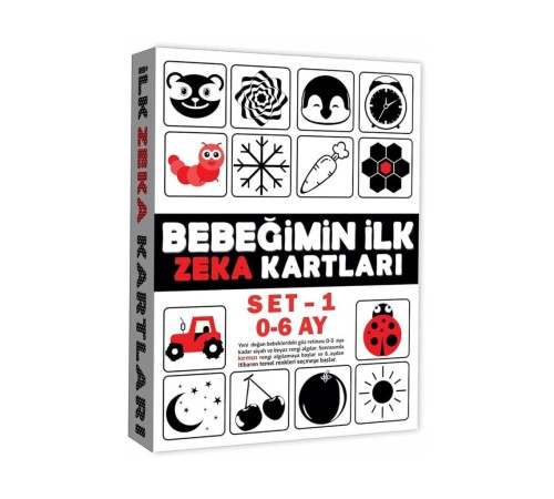 2199 Eğitici Kartlar 0-6 Ay Zeka Kartları
