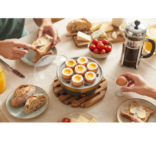 7 Yumurta Kapasiteli Otomatik Buharlı Pişirme Makinesi – Akıllı Kapanma Özellikli