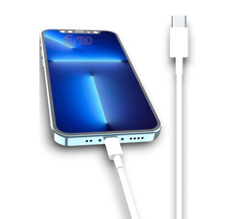 30W ŞARJ KABLOSU 30W ŞARJ KABLOSU