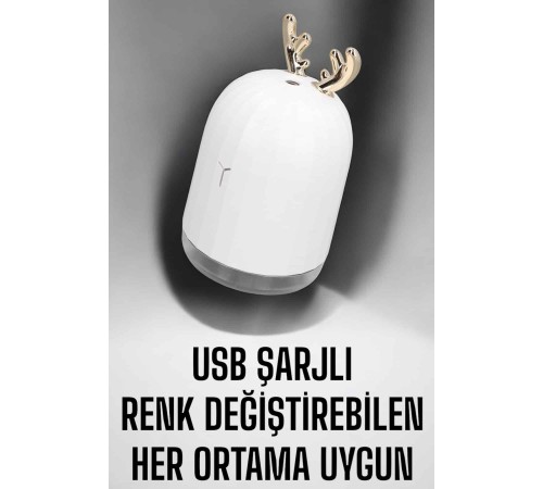 Aromaterapi Hava Temizleyici Buhar Makinesi Taşınabilir Şarjlı
