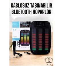 Kablosuz Bluetooth Hoparlör Taşınabilir 6.5 inç LED Işık Kareoke