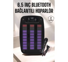 Bluetooth Hoparlör RGB Işıklı USB SD Kart Girişli Taşınabilir