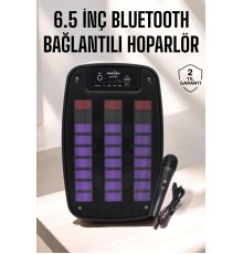 Bluetooth Hoparlör RGB Işıklı USB SD Kart Girişli Taşınabilir