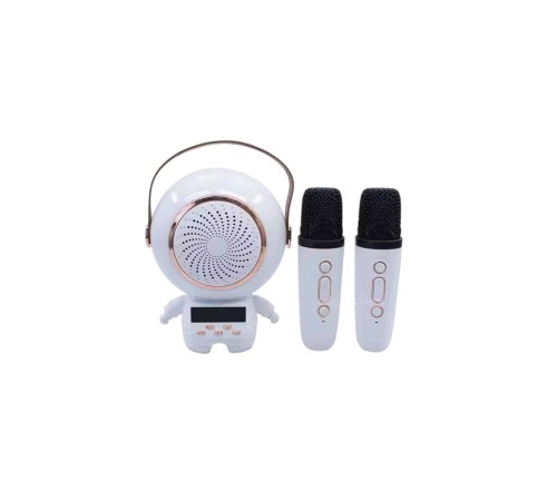 XM-X66 KARAOKE MİKROFON