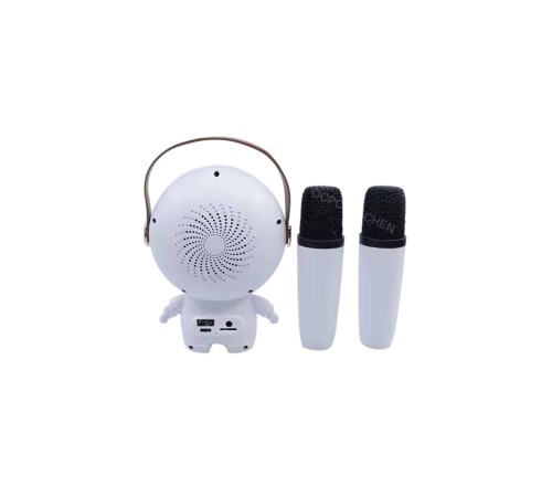 XM-X66 KARAOKE MİKROFON